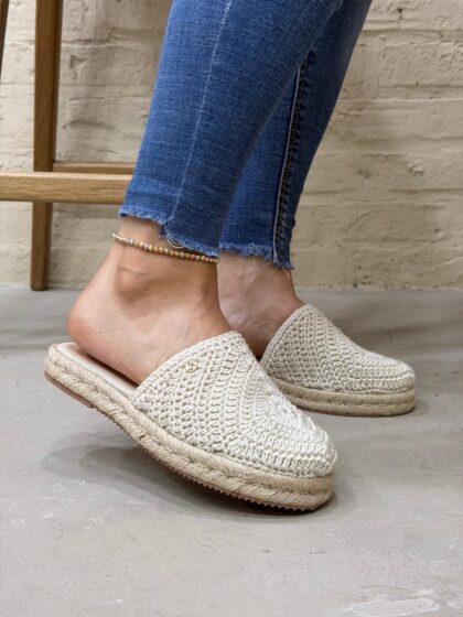 ✨ Crochet Classic✨