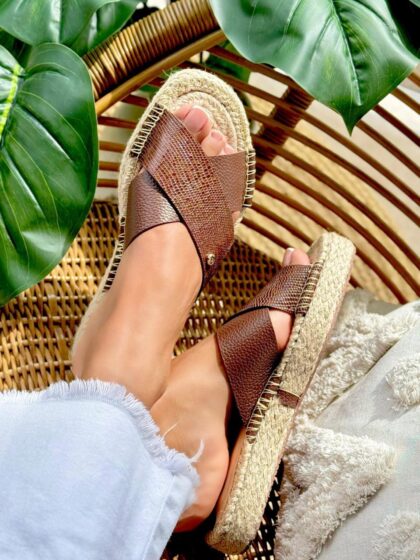 ✨ Multicolor Paradise ✨